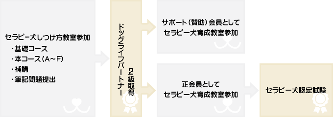 受講のモデルケース図